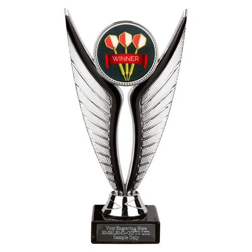 Darts winner award - award, 195mm