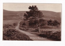 Real Photo Postcard Exford Road, Exmoor