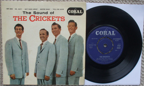 The crickets buddy - the,
