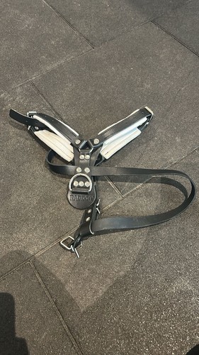 Raddog harness large dog - raddog,