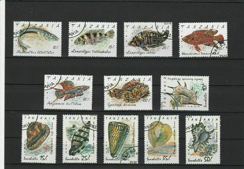 Tanzania exotic fish - exotic, &