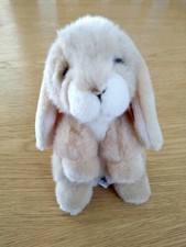 Wilberry Mini Lop eared Bunny
