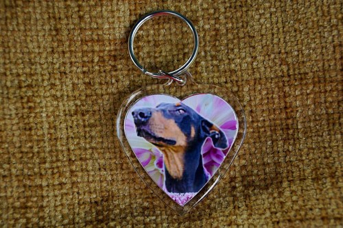 Doberman dog heart - doberman, shaped