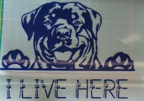 Rottweiler live here decal - rottweiler,