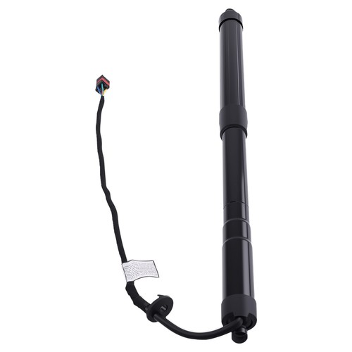 Electric tailgate gas - tailgate,