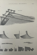 Antique Print c.1877 • Field