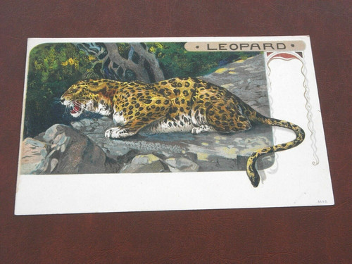 Original art nouveau - nouveau, animal