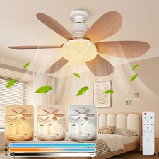 Ceiling LED Fan Light Dimmable