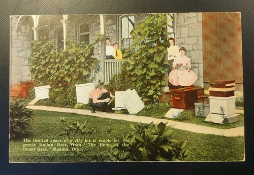 1911 root medina - root, ohio