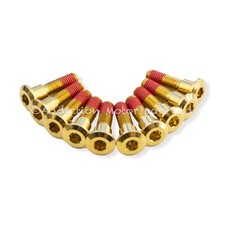 10x Gold Titanium Front Disc