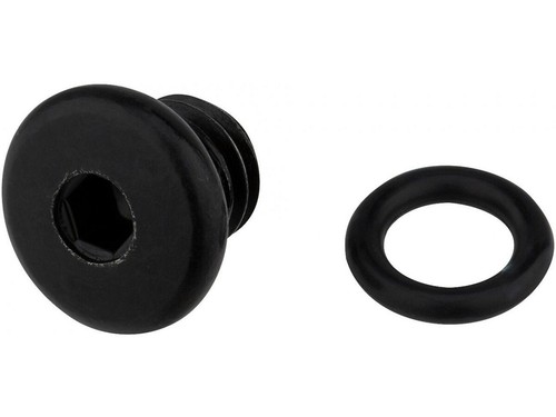 Shimano bleed screw - bleed,
