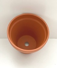 Traditional Terracotta Plant