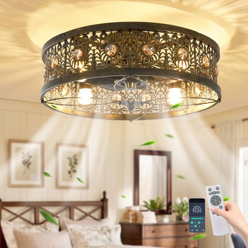 Caged ceiling fan - ceiling, with
