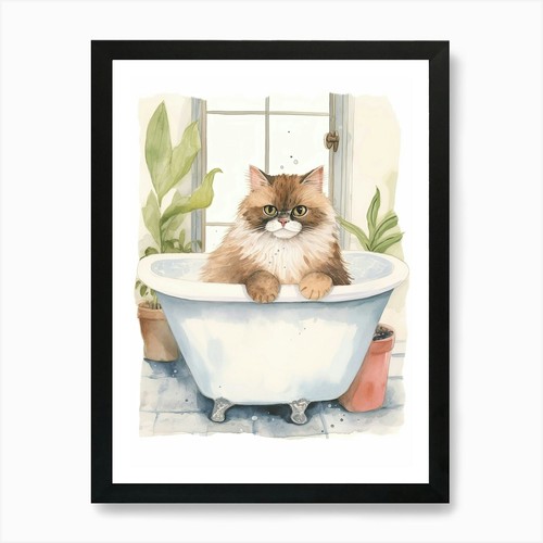 Himalayan cat bathtub - in,
