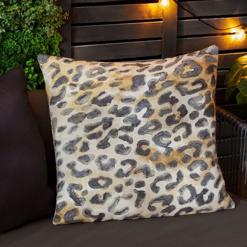 Paoletti leopardis leopard - leopardis,