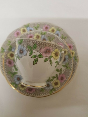 Salisbury vintage china trio - vintage,