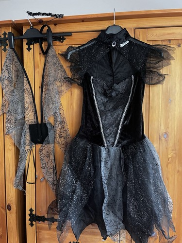 Adult black fallen angel - fallen,