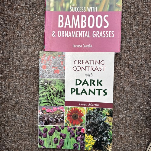 Success with bamboo and - bamboo,