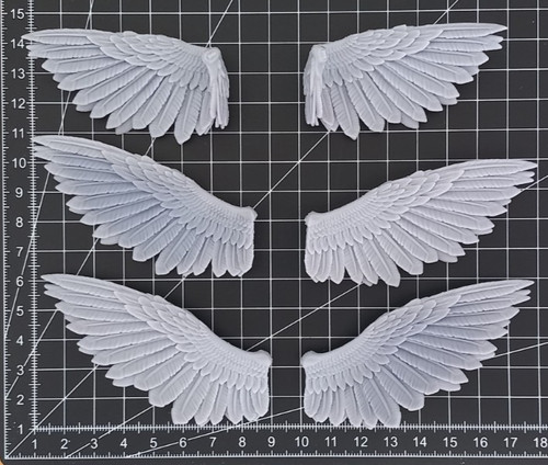 Raptor style large feather - 3,