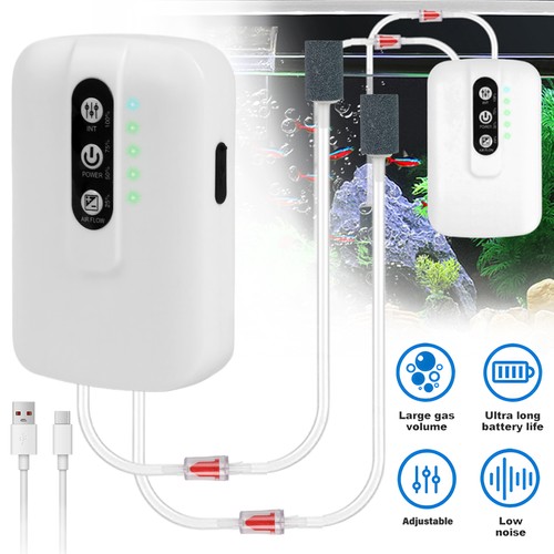 Quiet aquarium air pump - aquarium,