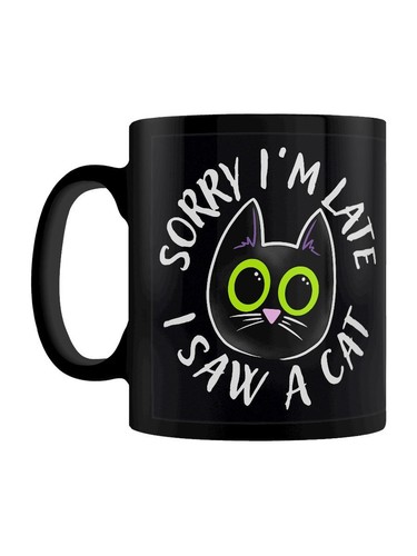 Sorry late saw a cat - saw,