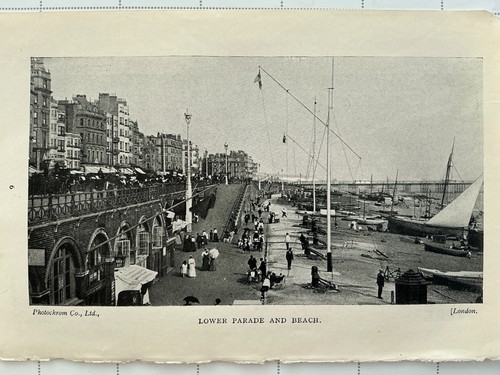 Brighton 1928 antique print - 1928,