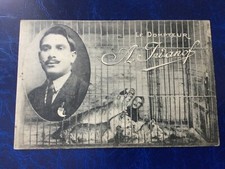 VINTAGE CIRCUS FAIRGROUND LION