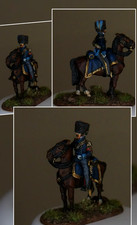 Napoleonic wars 28mm metal French ADC Perry Miniatures  not Warhammer  