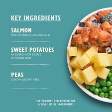 Salmon Supper Natural Grain