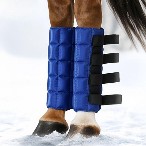 Horse ice boots - horse, supplies