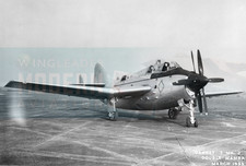 Fairey Gannet T Mk 2 - Original photo dated March 1955
