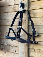 LEATHER HEAD COLLAR, BLACK  or
