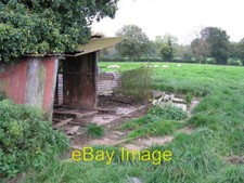 Photo 6x4 Decrepit sheep shelter Hales Bank  c2008