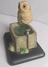 Owlet On Trough (TV05)