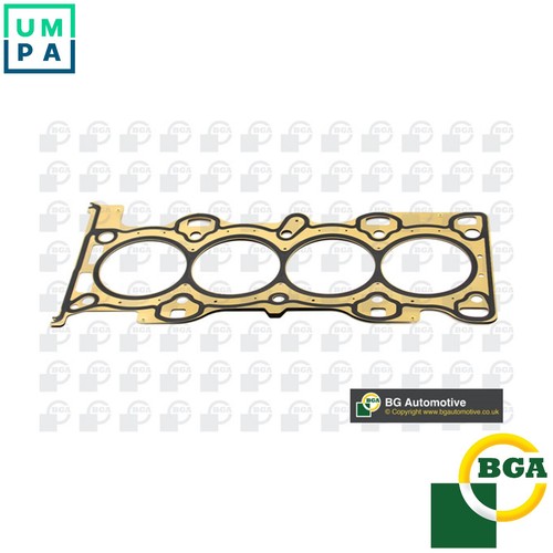 Gasket cylinder head - gasket, ch8519