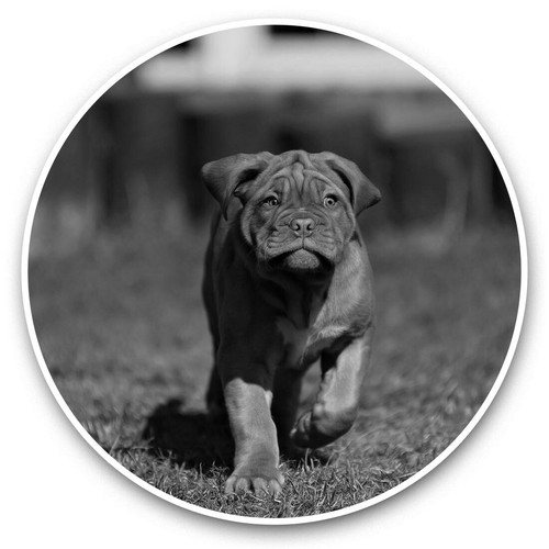 Vinyl stickers 15cm - 15cm, (bw)