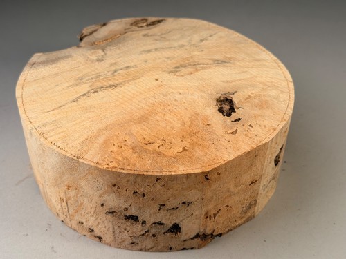 Spalted burr sycamore wood - burr,