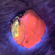 Florescent Smithsonite