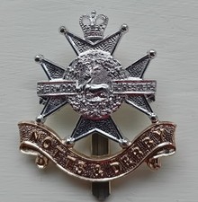 Notts & Derby Regiment Staybrite anodised aluminium cap badge Gaunt