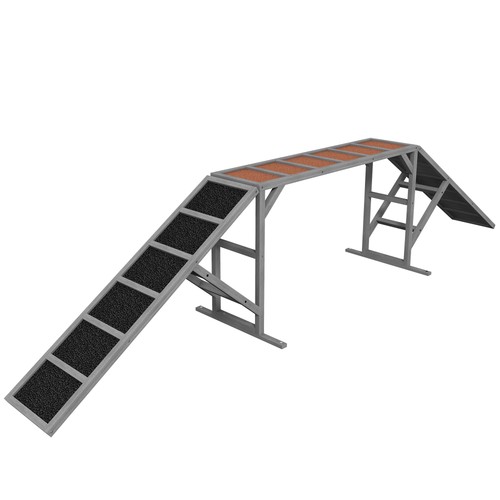 Dog agility training - agility, ramp
