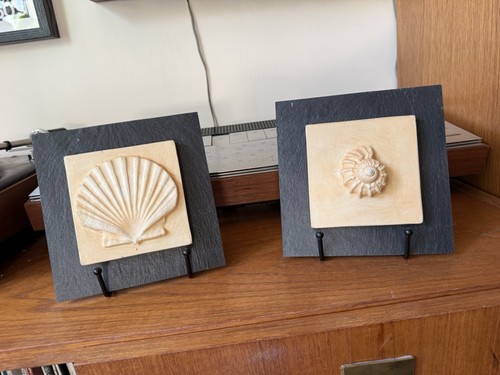 Vintage coastal shell - vintage,