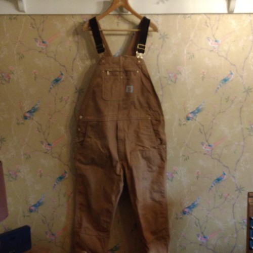 Carhartt bib and - bib,