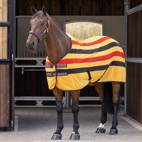 Shires tempest original - shires,
