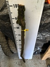 BLACKTHORN  WALKING STICK