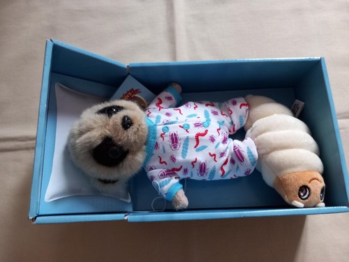 Meerkat baby oleg - oleg, with