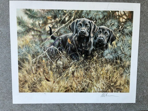 Mick cawston signed limited - signed,
