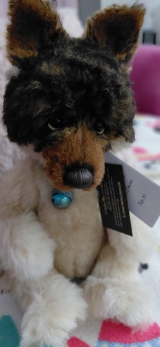 Charlie bears dog middlebiggin - charlie,