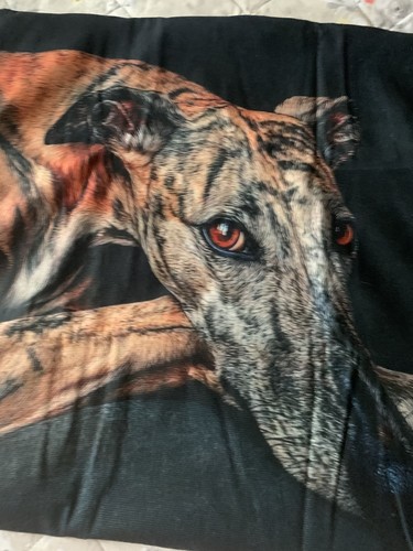 Greyhound cushion cover - greyhound,