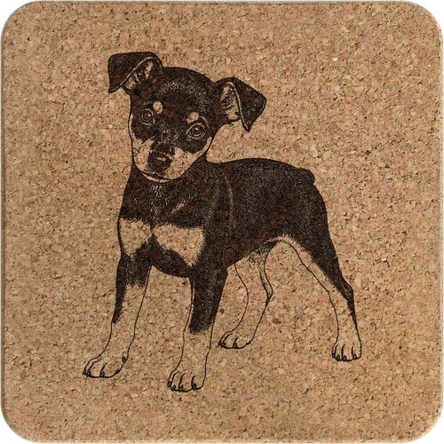 Miniature pinscher puppy - pinscher, puppy'