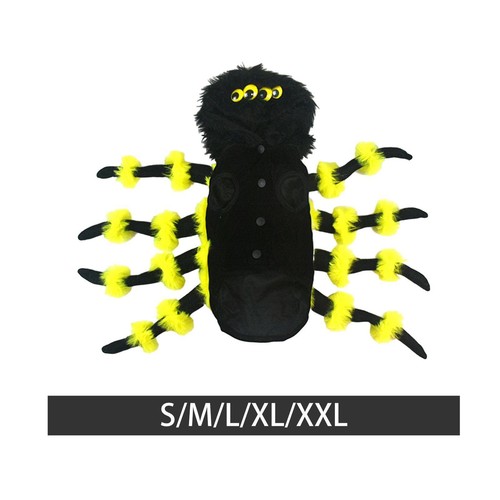 Dog cat spider - cat,